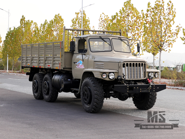 รถขับเคลื่อนหกล้อ Dongfeng EQ2100 รถบรรทุกออฟโรด _6 × 6 190hp รถบรรทุกขนย้ายแถวเดียวหัวแหลม _ รถบรรทุกพิเศษส่งออกขับเคลื่อนทุกล้อ