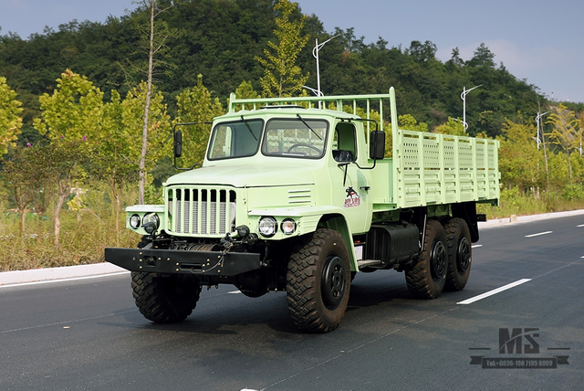 Mint Green Dongfeng รถขับเคลื่อนหกล้อ Off Road Truck_190hp Dongfeng EQ2100 Single Row Pointed Head AWD Transport Vehicle_Export Special Purpose Vehicle 