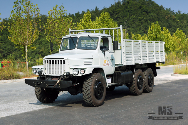 EQ2100 รถขับเคลื่อนหกล้อ Dongfeng Off Road Truck_6*6 Pointed Head Single Row Cargo Truck รถบรรทุกขนส่งสำหรับขาย_ส่งออกยานพาหนะพิเศษ